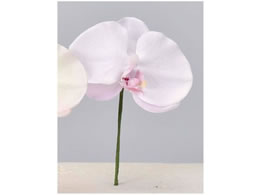 �A�X�J �R�`���E�����s�b�N(L) ���C�g���x���_�[ 72-34238-16