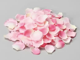 �A�X�J ���[�Y�y�^��(1�ܖ�100����) �N���[���s���N 72-15735-3C