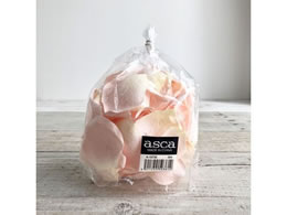 �A�X�J ���[�Y�y�^��(1�ܖ�100����) �s�[�` 72-15735-4