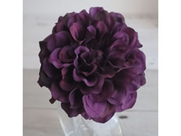 �A�X�J �_���A�s�b�N #007D �_-�N�p-�v�� 72-31451-207