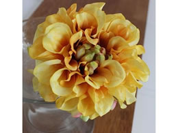 �A�X�J �_���A�s�b�N �C�G���[ 72-31451-10