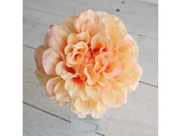 �A�X�J �_���A�s�b�N �s�[�` 72-31451-4