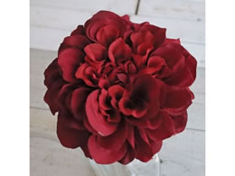 �A�X�J �_���A�s�b�N ���b�h 72-31451-2