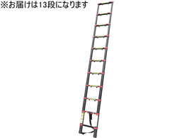 t@~[ECt A~Lk͂ 13i ubN a29662