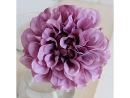 �A�X�J �_���A�s�b�N ���x���_�[ 72-31451-6