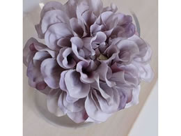 �A�X�J �_���A�s�b�N ���x���_�[�N���[�� 72-31451-106