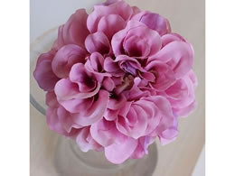 �A�X�J �_���A�s�b�N ���[�Y 72-31451-5