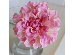 �A�X�J �_���A�s�b�N �N���[���s���N 72-31451-3