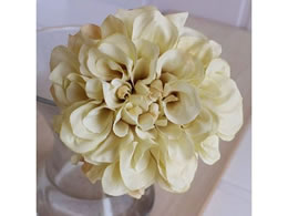 �A�X�J �_���A�s�b�N �N���[���z���C�g 72-31451-11