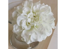 �A�X�J �_���A�s�b�N �z���C�g 72-31451-1