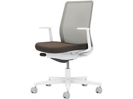 RN lbg L^I wʐF _[NO[W^CgO[