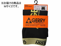 ~^jR[|[V GR G22BBPT{NT[(098S[h)M 191286