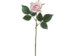 �r�o�H�| VE-6722 �j���[�G���U���[ LT PI 65-672267-0