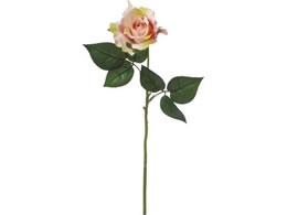 �r�o�H�| VE-6722 �j���[�G���U���[ PEACH 65-672281-0