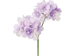 YDM �I�[�K���W�[�A�W�T�C�~2 ���x���_�[