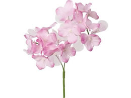 YDM �I�[�K���W�[�A�W�T�C�~2 �s���N FS-8364P