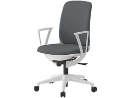 �C�g�[�L �g���eU �n�C�o�b�N�I�t PV���n �E���^�� ���~�_�[�N�O���[