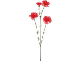 YDM �J�[�l�[�V�����X�v���[ ���b�h FS-7961R