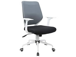 �J�O�N�� �`�F���W �I�t �z���C�g�~�O���[ CN-309-A-WH-GY