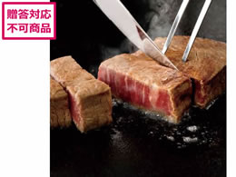 TVN ㋍ tBXe[L 4 FST48-200MA