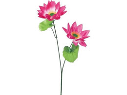 YDM [^X~2 x_[ FF-3060LAV