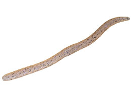 �W���b�J�� �t���b�N�V�F�C�N4.8 #�X�W�G�r