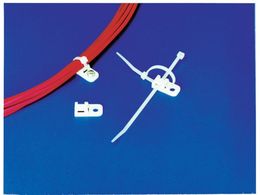 w}^Cg CVbN AJ[}Eg (100) CTAM2