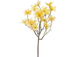 YDM tOXf[W[ CG[ FA-7148-Y