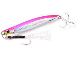 WN\ ^GtFNgXeCtH[60g BLP ou[sN