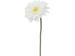 YDM �K�[�x�� �z���C�g FA-7158-W