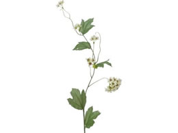 YDM �r�o�[�i�� �z���C�g�O���[�� FA7094-W G