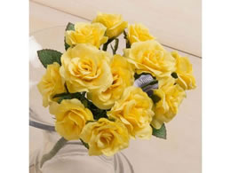 YDM �~�j���[�Y�u�b�V�� �C�G���[ FB2439-Y