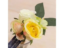 YDM ���[�Y�~�b�N�X�o���` �z���C�g�C�G���[