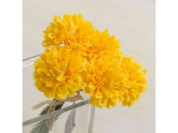 YDM �~�j�s���|���}���s�b�N FB2346-Y