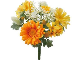 YDM �K�[�x���~�b�N�X�u�b�V�� �C�G���[�I�����W