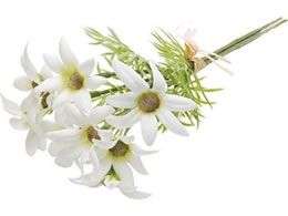 YDM �t�����l���t�����[�o���` �z���C�g FLP3001-W