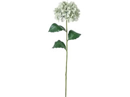 YDM �R���t�H�[�g�n�C�h�����W�A �O���[�O���[��