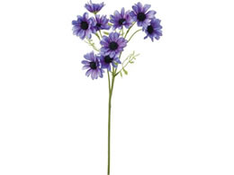 YDM �J���p�[�j���f�C�W�[�X�v���[ ���x���_�[