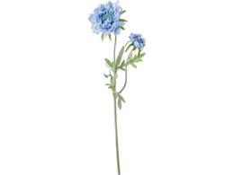 YDM �X�J�r�I�T�X�v���[ ���C�g�u���[ FD-0118LBL