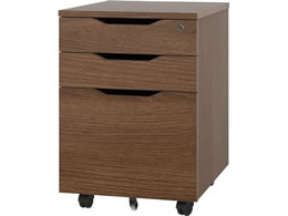 A[EGtE}J v CTChS EHibg RFPCA-DM