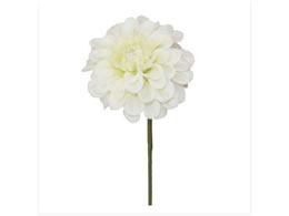 �����H�| P-8524-10 �W�j�A�s�b�N �N���[���^144-852411-0