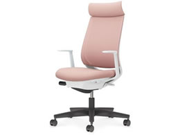 RN ~g2 bV AfBViLI r{̔AbVsN