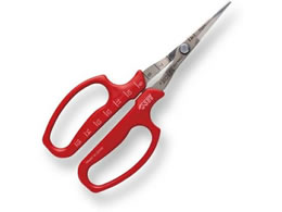 AXR[|[V ԂǂE n ܓ 321DX-T