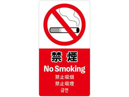 TTK ӊNXebJ[ ։ 24-554