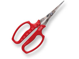 AXR[|[V ԂǂE n BP 321DX-T-BP