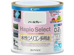 JynsI nsIZNg p[O[ 0.2L