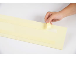 西敬 マグネットネームプレート 裏粘着テープ付 人用 Nm Forestway 通販フォレストウェイ