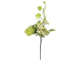 H| Z0063 ChO[vx #037 N[