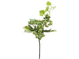 H| Z0063 ChO[vx #024 O[