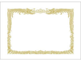 TTK ܏p ㎿  cp 100 10-5010